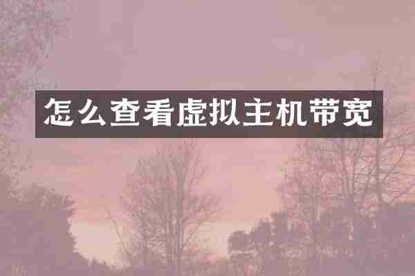 怎么查看虚拟主机带宽
