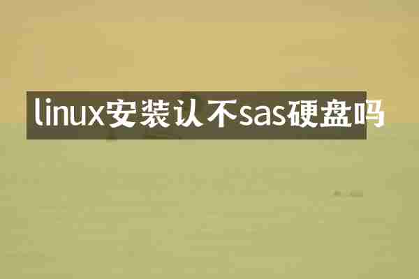 linux安装认不sas硬盘吗