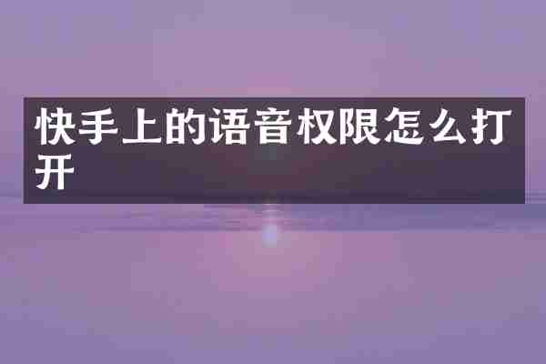 快手上的语音权限怎么打开