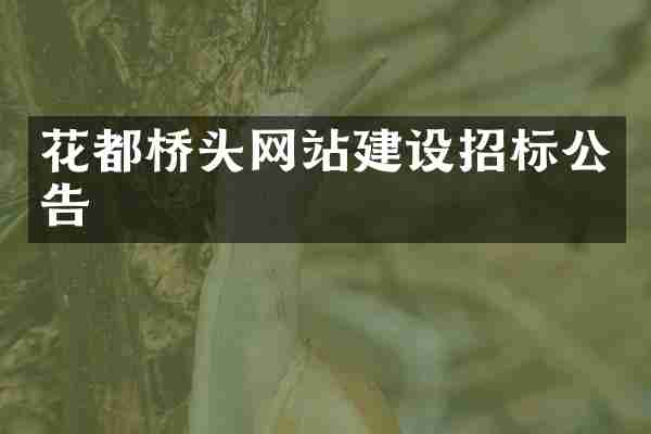 花都桥头网站建设招标公告
