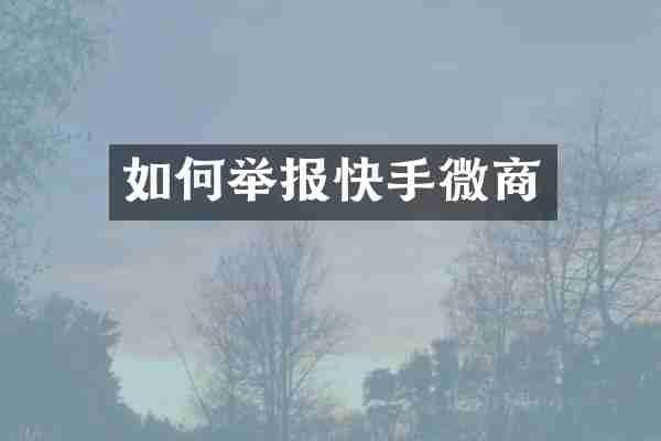 如何举报快手微商