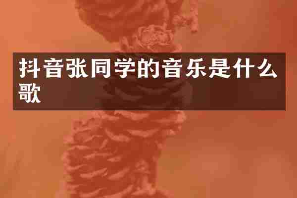 抖音张同学的音乐是什么歌