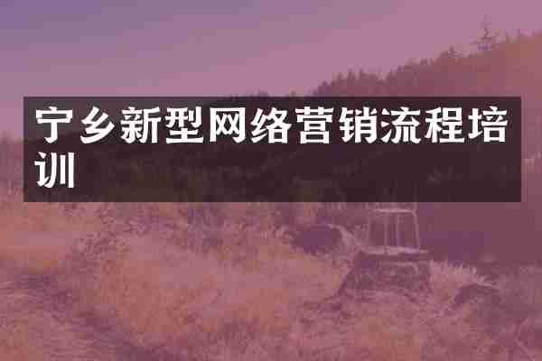 宁乡新型网络营销流程培训