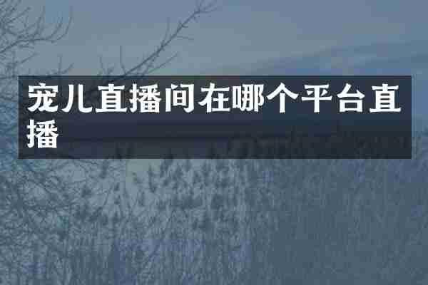 宠儿直播间在哪个平台直播