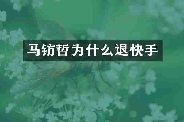 马钫哲为什么退快手