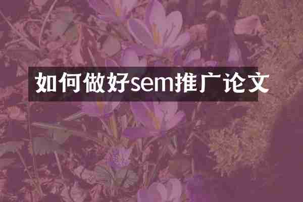 如何做好sem推广论文