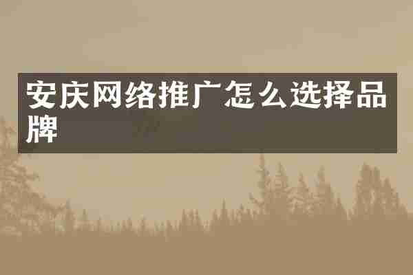 安庆网络推广怎么选择品牌