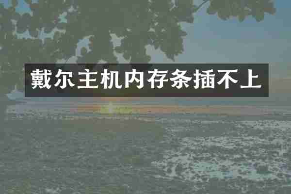 戴尔主机内存条插不上