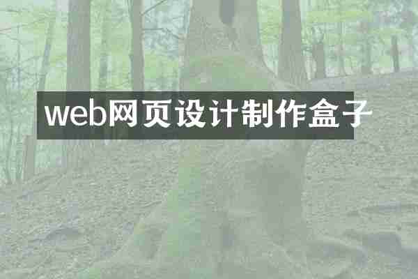 web网页设计制作盒子