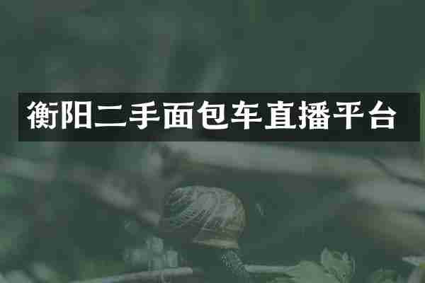 衡阳二手面包车直播平台