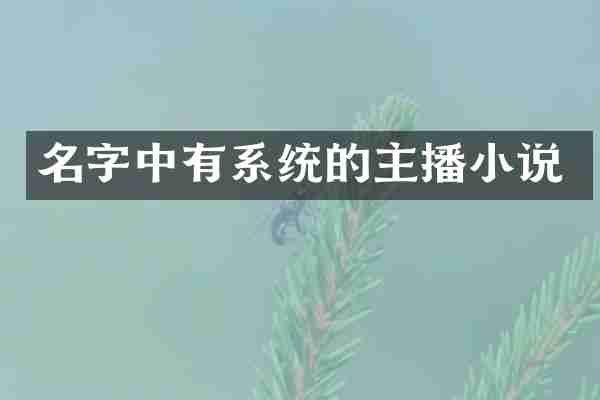 名字中有系统的主播小说