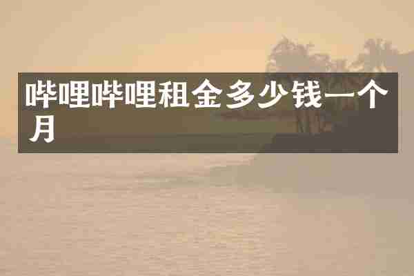 哔哩哔哩租金多少钱一个月