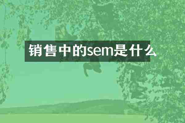 销售中的sem是什么