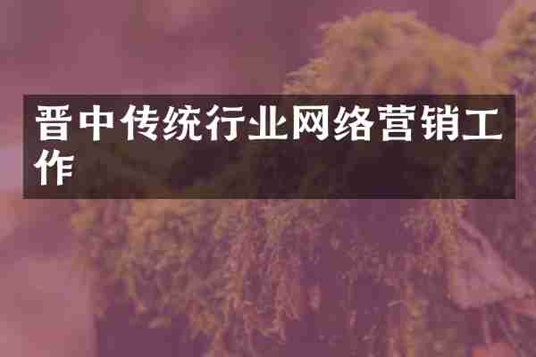 晋中传统行业网络营销工作
