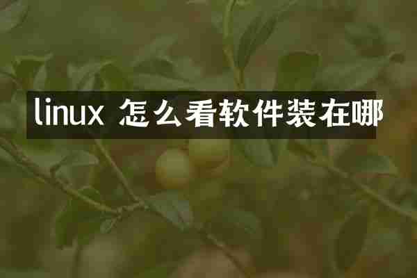 linux 怎么看软件装在哪