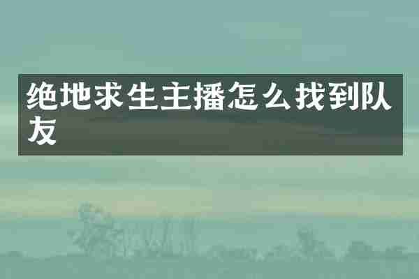 绝地求生主播怎么找到队友