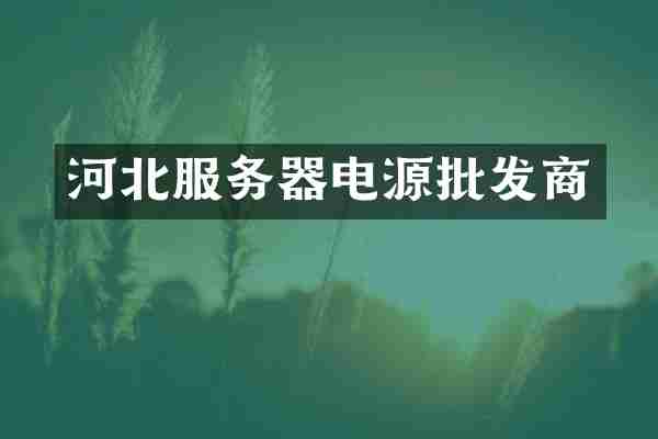 河北服务器电源批发商