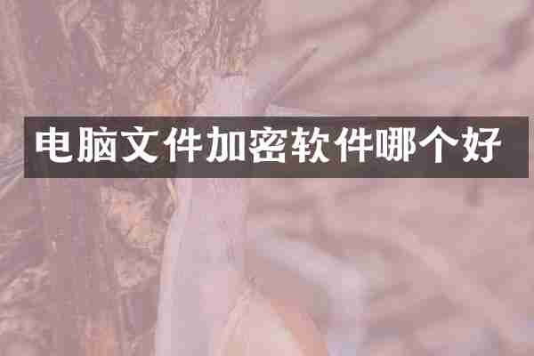 电脑文件加密软件哪个好