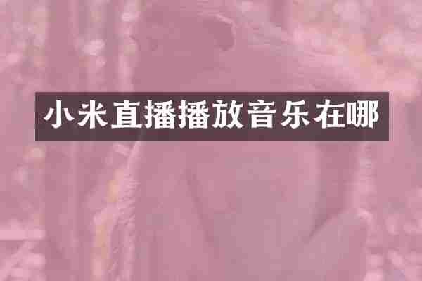 小米直播播放音乐在哪