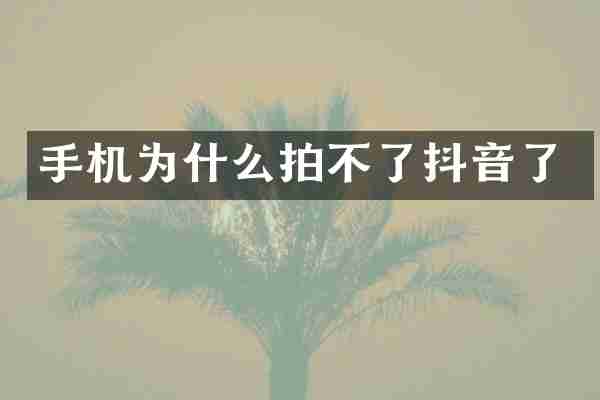 手机为什么拍不了抖音了