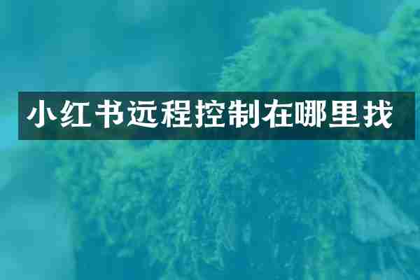 小红书远程控制在哪里找