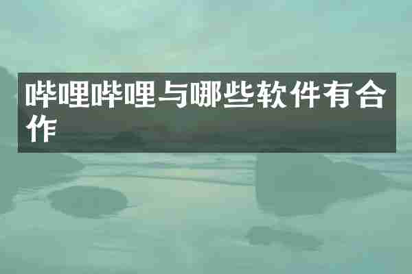 哔哩哔哩与哪些软件有合作