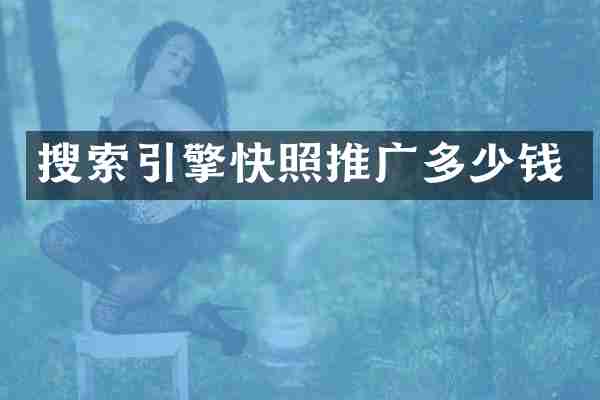 搜索引擎快照推广多少钱