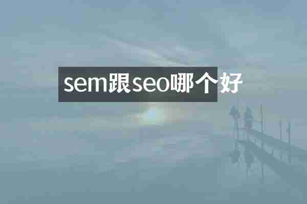 sem跟seo哪个好