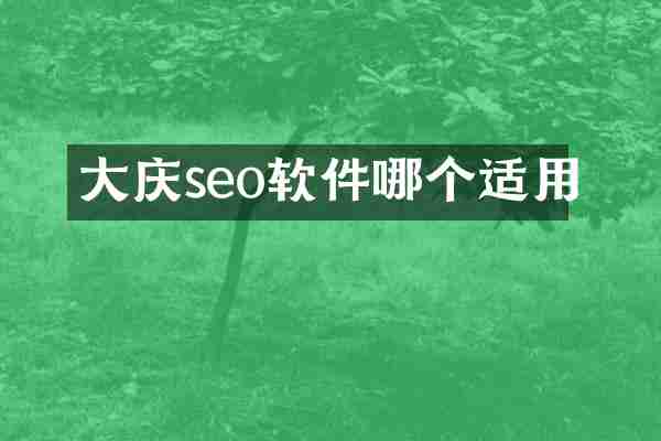 大庆seo软件哪个适用