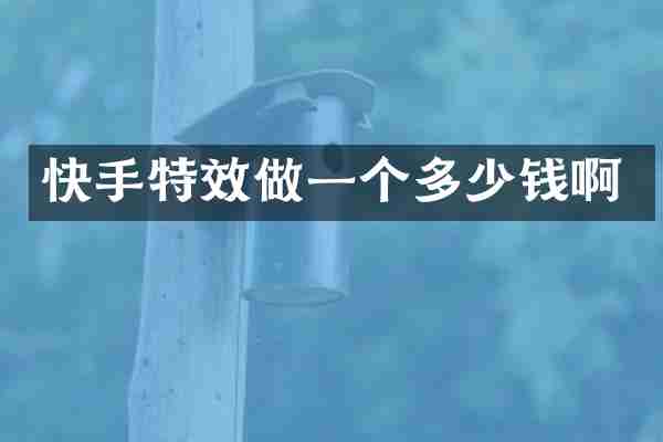 快手特效做一个多少钱啊