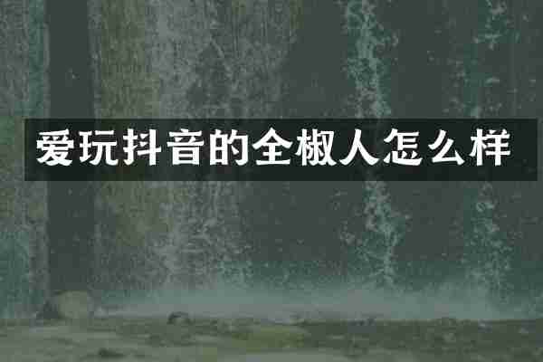 爱玩抖音的全椒人怎么样