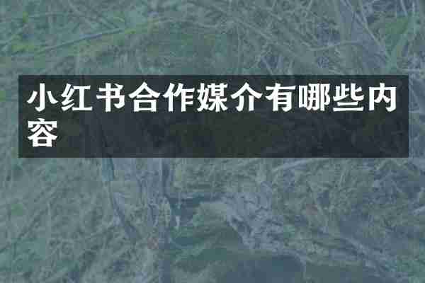 小红书合作媒介有哪些内容