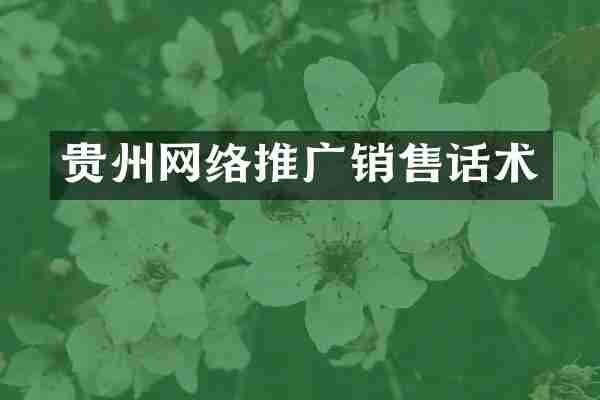 贵州网络推广销售话术