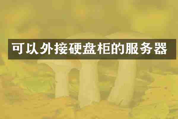 可以外接硬盘柜的服务器