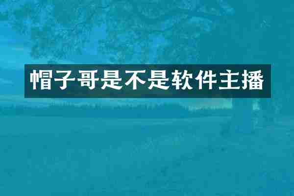 帽子哥是不是软件主播