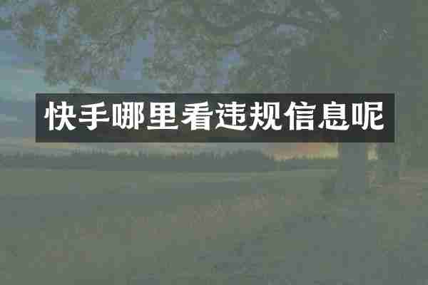 快手哪里看违规信息呢