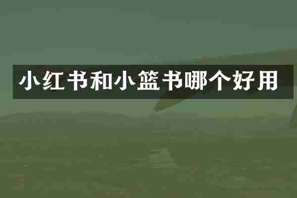 小红书和小篮书哪个好用