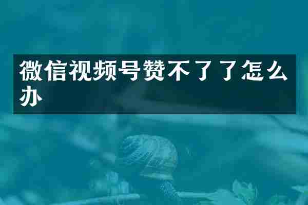 微信视频号赞不了了怎么办