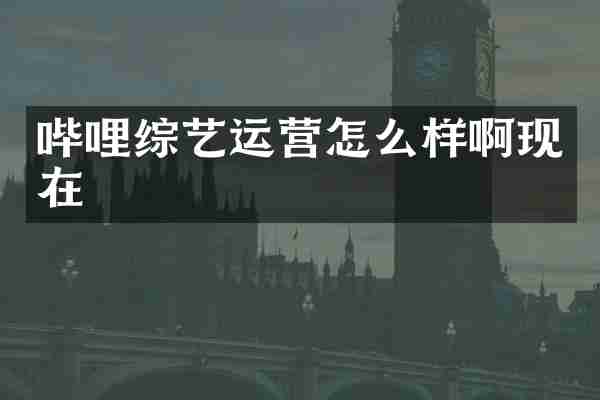 哔哩综艺运营怎么样啊现在