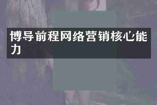 博导前程网络营销核心能力