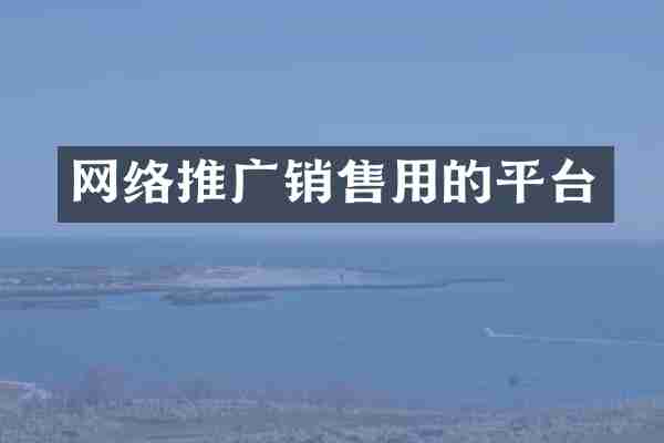 网络推广销售用的平台