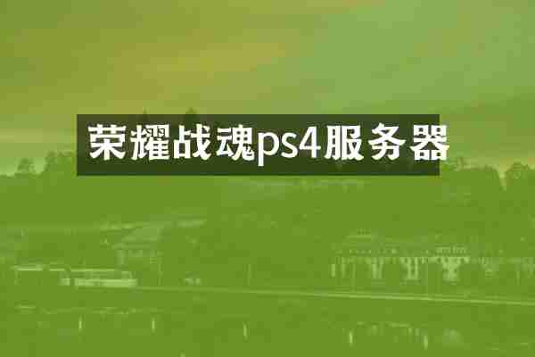 荣耀战魂ps4服务器