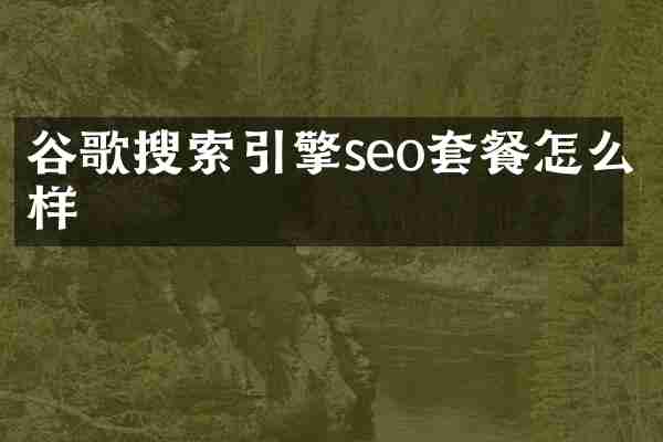 谷歌搜索引擎seo套餐怎么样