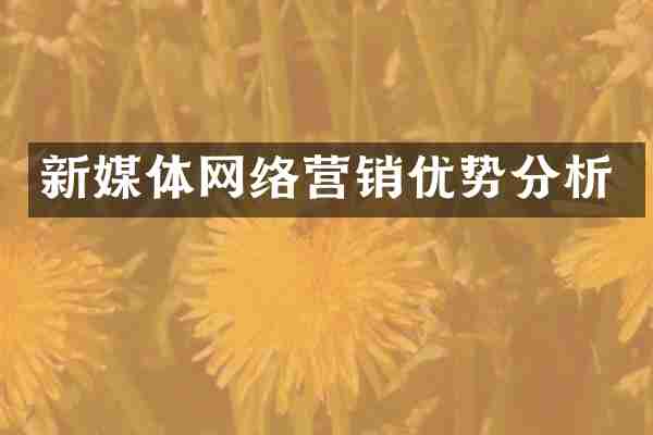 新媒体网络营销优势分析