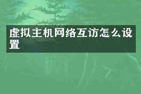 虚拟主机网络互访怎么设置