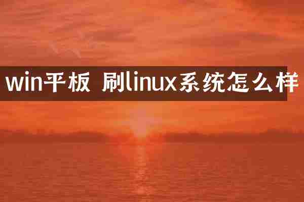 win平板 刷linux系统怎么样