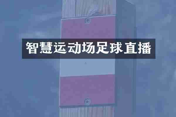 智慧运动场足球直播