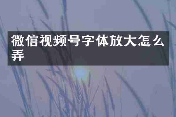 微信视频号字体放大怎么弄