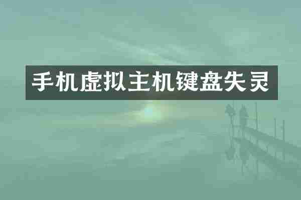 手机虚拟主机键盘失灵