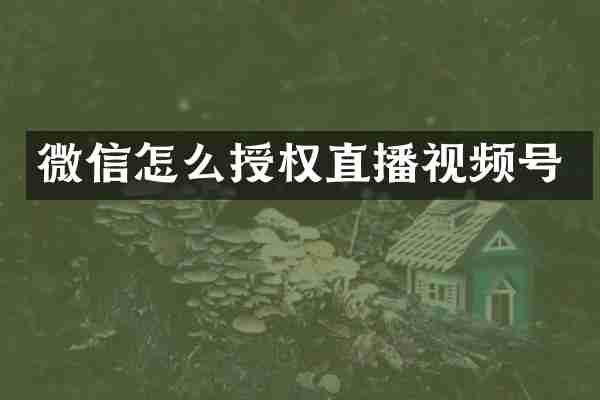 微信怎么授权直播视频号